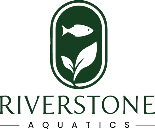 RiverStone Aquatics