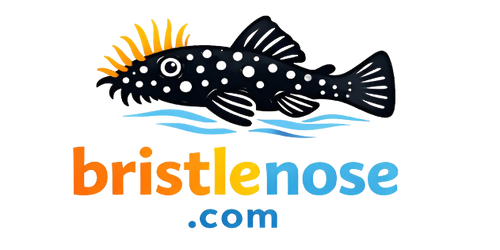 RiverStone Aquatics