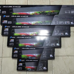 Light - Neo Helios - XP - 300