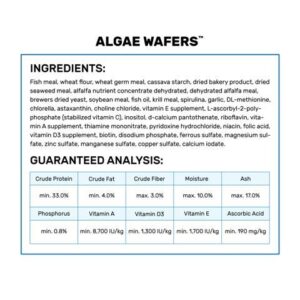 Hikari Algae Wafers - Gallery Image