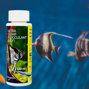 Aquatic Remedies UCF - Gallery Image