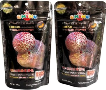 Okiko Platinum – Premium Flowerhorn Fish Food