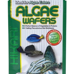 Hikari Algae Wafers