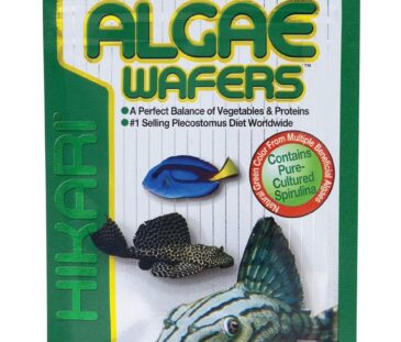 Hikari Algae Wafers
