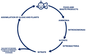 QANVEE LH‑600 Fluidized Bed Filter - Gallery Image
