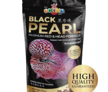 Okiko black Pearl
