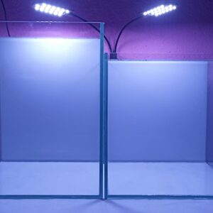 Aquarium – 12" Cube Tank (Zero Silicon Finish)