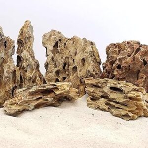Dragon Rock for Planted Aquarium Aquascaping Hardscape Decoration – Natural Rocks (1KG)