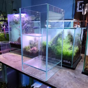 Elevated Style Tank – Terrarium with Transparent Lid (6×6×12 inch | 5mm Glass)