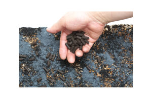 ADA Aqua Soil – Amazonia Ver. 2 | 9L | Premium Planted Aquarium Soil - Gallery Image